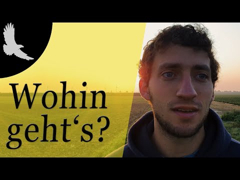 Die wichtigste Frage deines Lebens?!