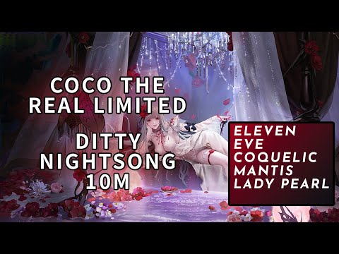 [Ditty Nightsong] Special Bounty 10M Damage, No Limited | Path to Nowhere