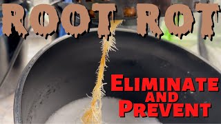 Eliminate and Prevent Root Rot in DWC Hydro