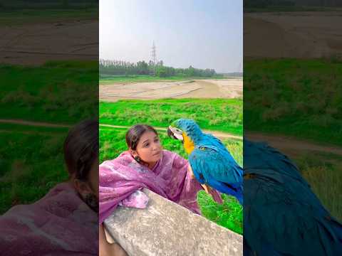 😮तोते ने जान बचा ली😭#parrot #dosti #trending 🥰#viralvideo #shortvideo #dosti #parrots ❤️