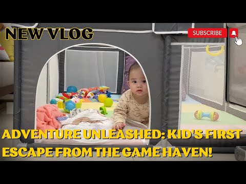 Experience The Magic Of Gamehaven With Family