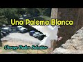 Una Paloma Blanca lyrics - George Baker Selection