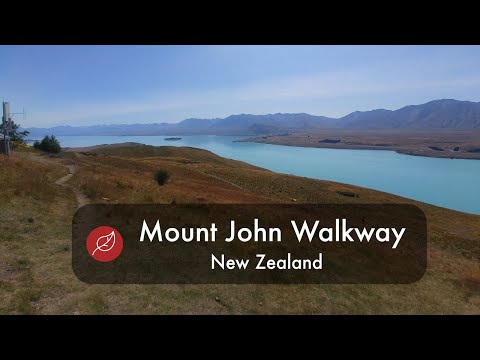 Mount John Walkway (Lake Tekapo) 🥾 - New Zealand South Island Walk - 2020