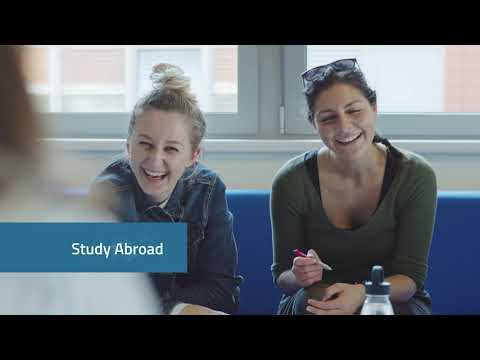 Master in Management