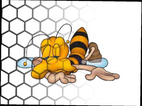 Stoetlied Mannen Van De Met Feat. Yves Segers 2016 - Bisjkes