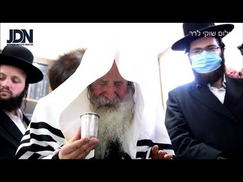 Amshenov - Modzitz Bris - Menachem Av 5780