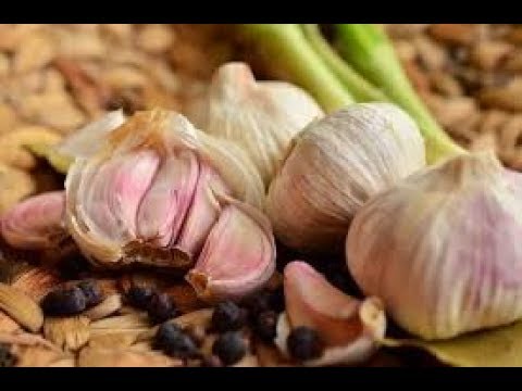 ŠTA NISTE ZNALI O BELOM LUKU! Prof. dr Mihajlović