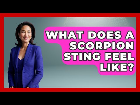 What Does A Scorpion Sting Feel Like? - First Response Medicine