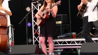 Fallen Branches - Blind Willie McTell (Livestock)