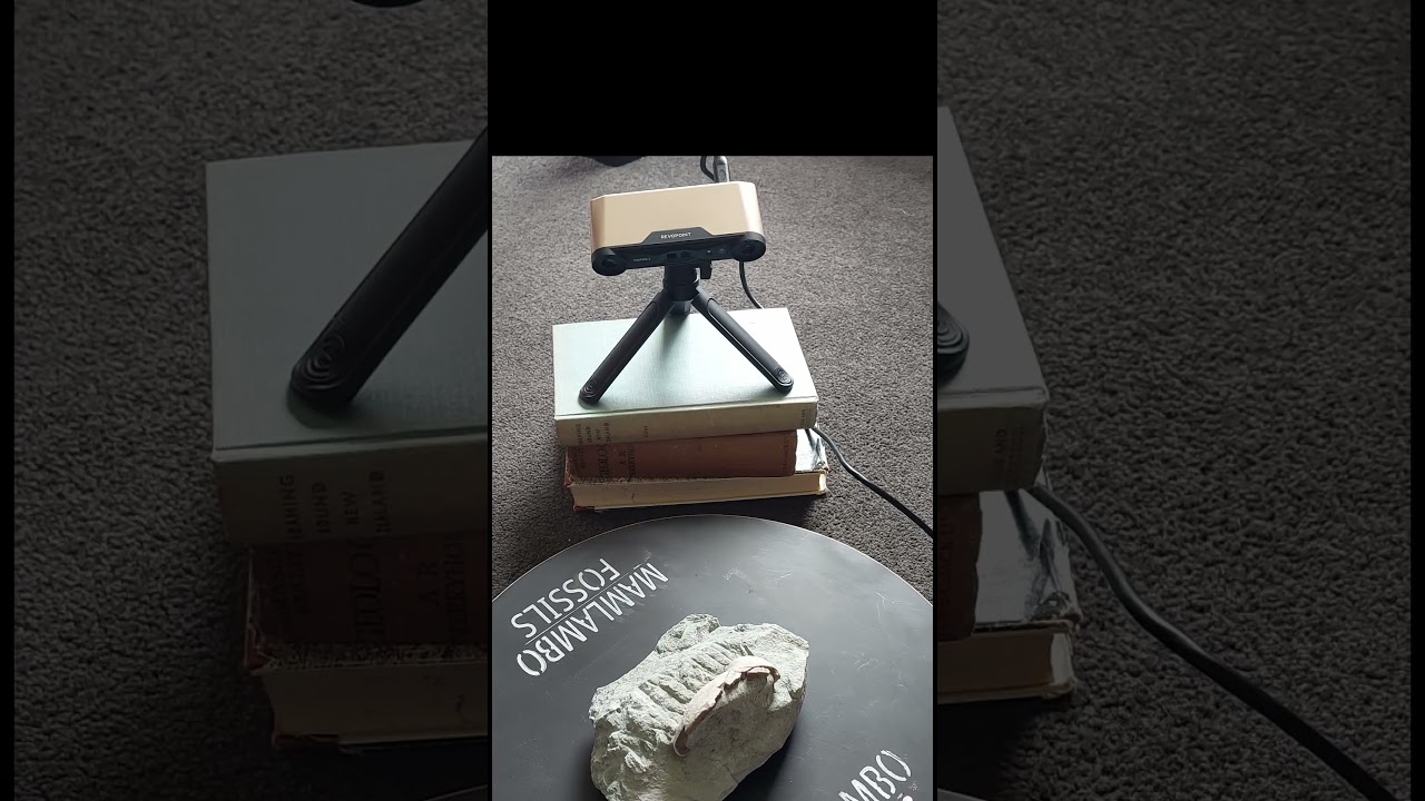 Whale ear 3d scan #sketchfab  #fossil #revopoint #inspire2