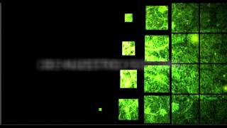 Agricultura Sustentable y Protegida