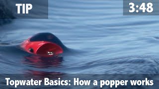 Topwater Basics: How a Popper Works