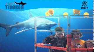 DIA 2 Expo Tiburon118