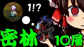 【ロマンシングサガ　リ・ユニバース】深奥の密林調査１０層　ゆっくり実況