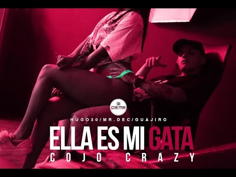 Ella Es Mi Gata - Cojo Crazy (Palma Productions)