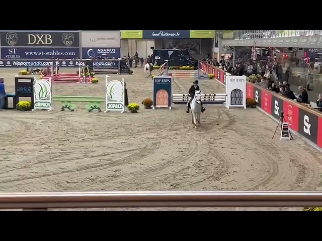 Poney &agrave; vendre 