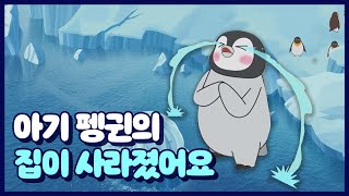 (04:54) [해양동물] 아기 펭귄의 집이 갑자기 사라졌다고?! (해양환경공단)의 이미지