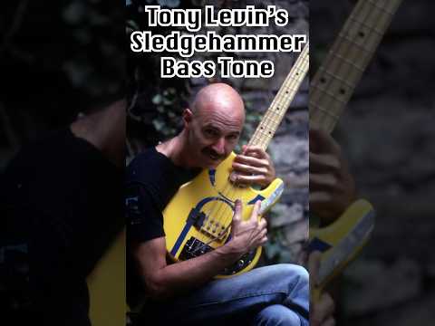 Tony Levin’s Bass Tone On Peter Gabriel - Sledgehammer