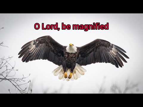 Be magnified - Lynn Deshazo