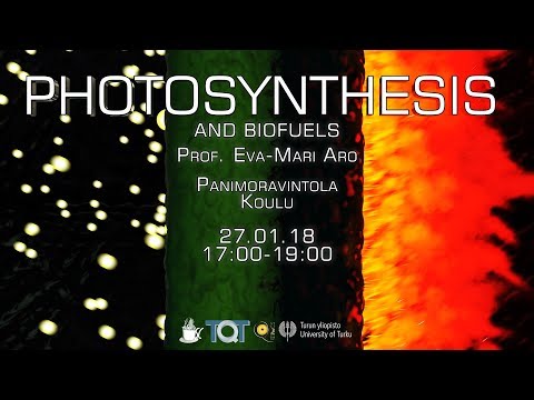 Science Cafe Turku - (Eva-Mari Aro) - Photosynthesis and Biofuels