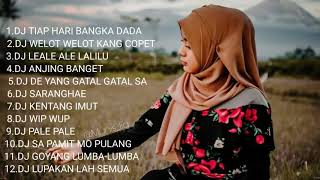 Download lagu DJ TIAP HARI BANGKA DADA kumpulan lagu Tik Tok terbaru 2020 ViRal mp3