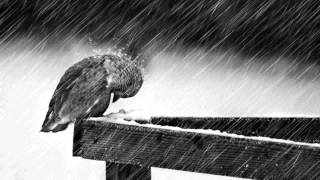 Sister Hazel - Best I&#39;ll Ever Be (Legendado)