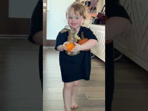 Fall Pumpkin Halloween