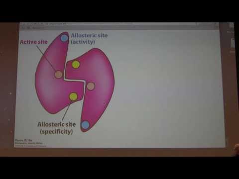 40.  Kevin Ahern's Biochemistry - Nucleotide Metabolism and DNA Replication
