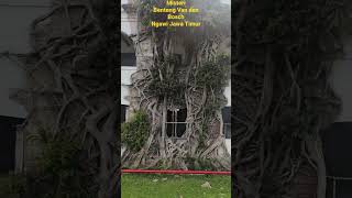 Download lagu Misteri Kelam Benteng Pendem Ngawi (Van Den Bosch 1839-1845) #FortvandenBosch #shorts #viralshorts mp3