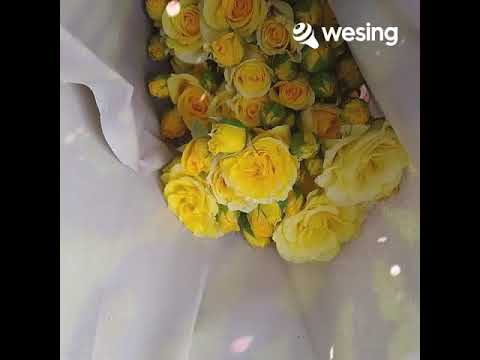 Dang boi mago...😔😔