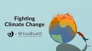 Varsity Tutors' StarCourse - Fighting Climate Change From Your Backyard with Budburst