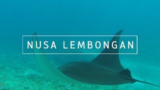 Freediving with manta rays in Nusa Lembongan
