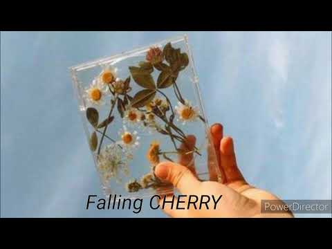 Ashe - Moral of the story ft Niall Horan  (Tradução PT/BR)