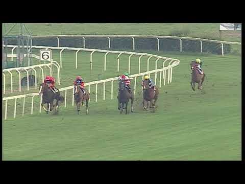 rm 20201129 03 p marcovisconti