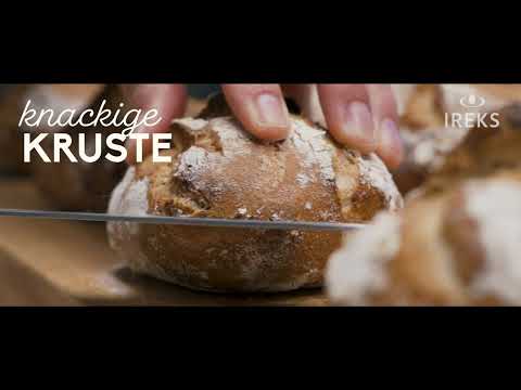 Feige-Walnuss-Brötchen meets MONDO LIEVITO MADRE (DE)