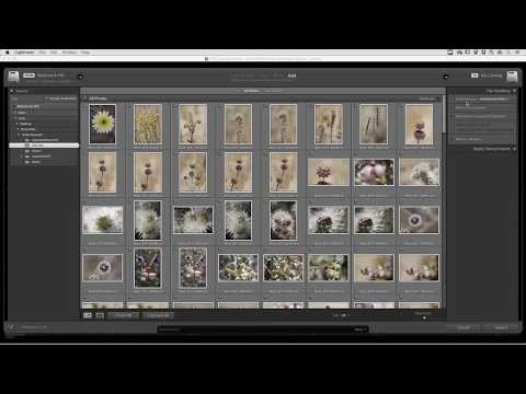 View Images Quickly with Embedded Preview Workflow in Lightroom Classic CC | Adobe Lightroom