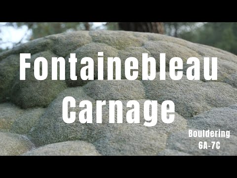 Bouldering in Fontainebleau | Carnage & Classics in France (6A to 7C)