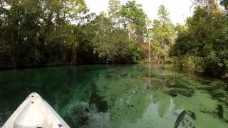 preview picture of video 'WEEKI WACHEE RIVER'
