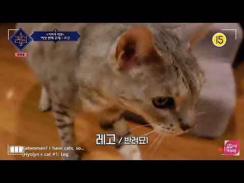 HYOLYN with her lovely, adorable cats!!!!