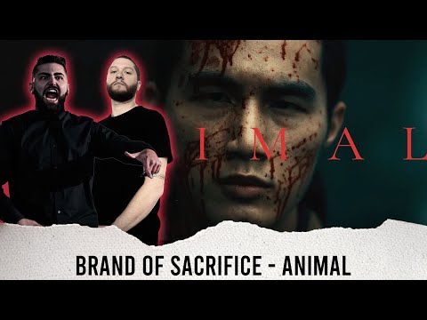 METALCORE BAND REACTS - BRAND OF SACRIFICE "ANIMAL" - REACTION / REVIEW