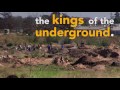 Kings Of The Underground Zama Zamas Rule Welkom