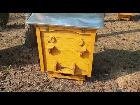 Zaszły duże zmiany na naszej pasiece, dlaczego?