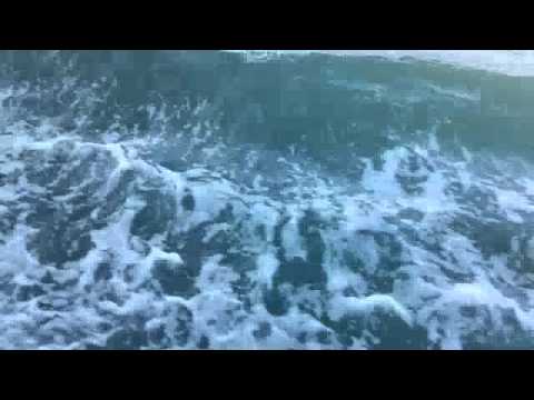 SistaSara aka Sara Fuga - EastBayDubVoxVersion