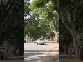 Cose Da Fare A Pietermaritzburg Boom Street Viaggi E Turismo