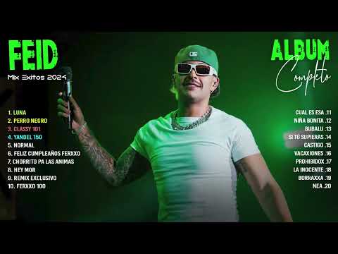FEID MIX Exitos 2024 - LAS MEJORES CANCIONES DE Feid Lo Mas Nuevo 2024, REGGAETON MIX 2024 (LETRA)