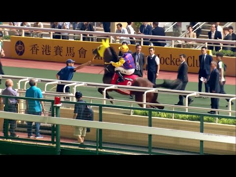 Angus Chung 鐘易禮 is a cowboy on 威妙星 Amazing Rocky (D356) Class 3 - 4 Oct 2023 🏇🏻