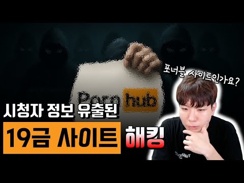 19금 pwnable 사이트 이용자 정보 2억건 유출. 어디서 언제 무슨 영상을 봤는지?