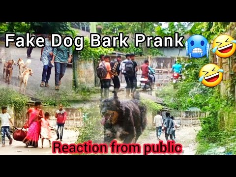 Fake Dog Bark Prank | Reaction from public 🤣 | Maynaguri | Gold Boy - Our family