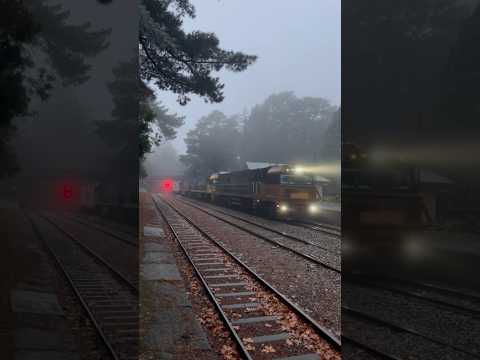 Pacific National Freight Train 6MP5 NR113 NR68  NR37 at a foggy Mt Lofty, South Australia 15/6/24