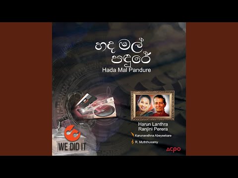 Hada Mal Pandure (Radio Version)